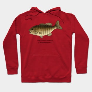 Micropterus dolomieu Hoodie